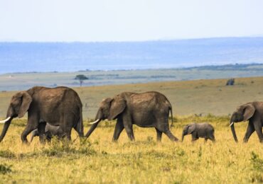 Kidepo National Park