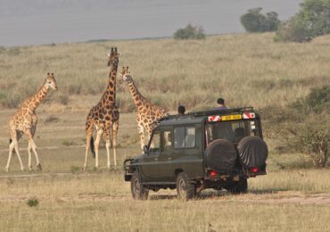 uganda-safari-3